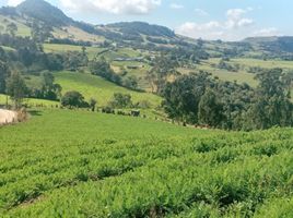  Terreno (Parcela) en venta en Choconta, Cundinamarca, Choconta