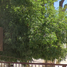 2 Bedroom House for sale in San Luis Potosi, San Luis Potosi, San Luis Potosi, San Luis Potosi