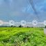  Land for sale in Magalang, Pampanga, Magalang