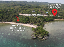  Land for sale in San Francisco, Cebu, San Francisco