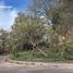  Terreno (Parcela) en venta en Laurel, Calabarzon, Laurel