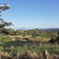  Terreno (Parcela) en venta en Laurel, Calabarzon, Laurel
