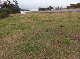  Terreno (Parcela) en venta en Atuntaqui, Antonio Ante, Atuntaqui