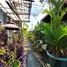 3 Habitación Casa en venta en Mergangsan, Yogyakarta, Mergangsan