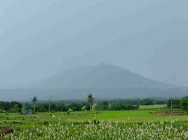  Terrain for sale in Bicol, Ocampo, Camarines Sur, Bicol