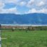  Land for sale in Lago De Chapala, Jalisco, Lago De Chapala