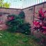 2 Bedroom Condo for sale in Huitzilac, Morelos, Huitzilac