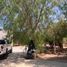  Land for rent in San Luis Potosi, San Luis Potosi, San Luis Potosi, San Luis Potosi