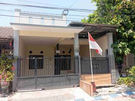 3 Kamar Rumah for rent in Sidoarjo, East Jawa, Sidoarjo, Sidoarjo