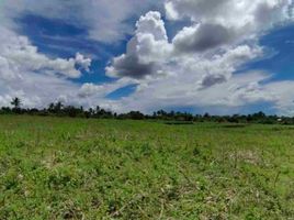  Land for sale in Camarines Sur, Bicol, Tigaon, Camarines Sur