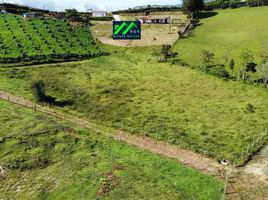  Land for sale in San Vicente, Antioquia, San Vicente