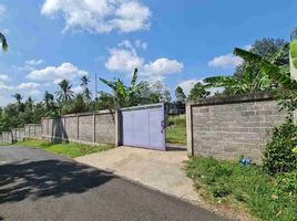  Land for sale in Bali, Busungbiu, Buleleng, Bali