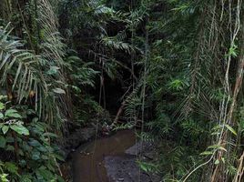  Terrain for sale in Gianyar, Bali, Tegallalang, Gianyar