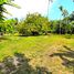 在Panglao, Bohol出售的 土地, Panglao