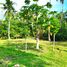 在Panglao, Bohol出售的 土地, Panglao