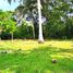 在Panglao, Bohol出售的 土地, Panglao
