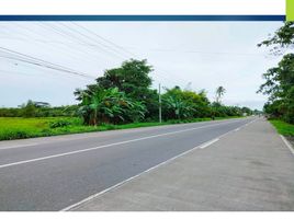  Terrain for sale in Leyte, Eastern Visayas, Alangalang, Leyte