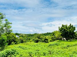  Grundstück zu verkaufen in Calatagan, Calabarzon, Calatagan, Batangas