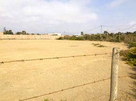  Terreno (Parcela) en venta en Asia, Lima, Asia