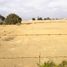  Terreno (Parcela) en venta en Asia, Lima, Asia