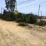  Terreno (Parcela) en venta en Asia, Lima, Asia