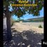 在Baja California Sur出租的 土地, La Paz, Baja California Sur