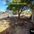 在Baja California Sur出租的 土地, La Paz, Baja California Sur