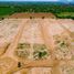  토지을(를) Dist Tehuantepec, 오악 사카에서 판매합니다., Dist Tehuantepec