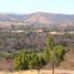  Grundstück zu verkaufen in Ixtapan De La Sal, Mexico, Ixtapan De La Sal