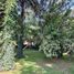  Land for sale in San Jeronimo Tecuanipan, Puebla, San Jeronimo Tecuanipan