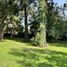  Land for sale in San Jeronimo Tecuanipan, Puebla, San Jeronimo Tecuanipan