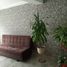 3 Schlafzimmer Appartement zu verkaufen in Santiago De Surco, Lima, Santiago De Surco, Lima, Lima