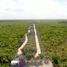  Land for sale in Isla Mujeres, Quintana Roo, Isla Mujeres, Quintana Roo
