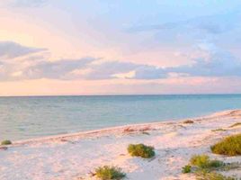  Grundstück zu verkaufen in Sinanche, Yucatan, Sinanche