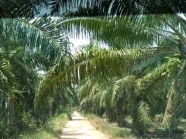  Tanah for sale in Sabak Bernam, Selangor, Pancang Bedena, Sabak Bernam