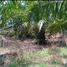  Land for sale in Pancang Bedena, Sabak Bernam, Pancang Bedena