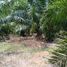  Land for sale in Sabak Bernam, Selangor, Pancang Bedena, Sabak Bernam