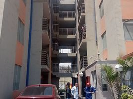 3 Schlafzimmer Appartement zu verkaufen in Puente Piedra, Lima, Puente Piedra