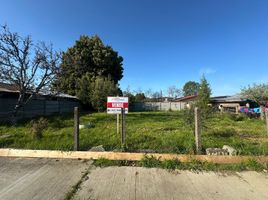  Terrain for sale in Los Lagos, Valdivia, Los Lagos