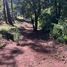 Land for sale in Donato Guerra, Mexico, Donato Guerra