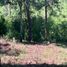  Land for sale in Donato Guerra, Mexico, Donato Guerra