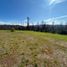  Land for sale in Santa Juana, Biobío, Santa Juana
