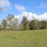  Terrain for sale in Cochamo, Llanquihue, Cochamo