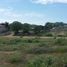  Land for sale in San Vicente Manabi, San Vicente, San Vicente