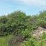  Land for sale in San Vicente, Manabi, San Vicente, San Vicente