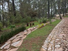  Grundstück zu verkaufen in Tapalpa, Jalisco, Tapalpa