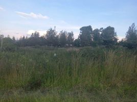  Land for sale in Morelia, Michoacan, Morelia, Michoacan