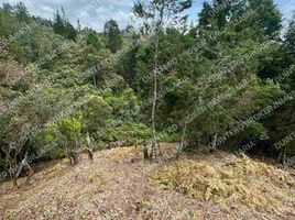  Terrain for sale in Guarne, Antioquia, Guarne