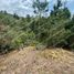  Land for sale in Guarne, Antioquia, Guarne