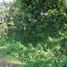  Land for sale in Cardenas, Tabasco, Cardenas